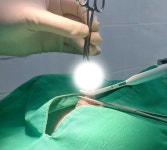 그린펫동물병원