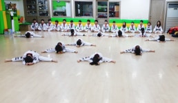 경희대호돌이태권도장