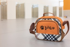 놀러오개 애견유치원 애견호텔 송파점