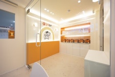 놀러오개 애견유치원 애견호텔 송파점