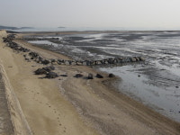 선도리갯벌체험장