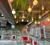 마이애체안경콘택트