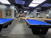 킹콩가브리엘빌리어드클럽