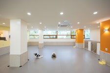 놀러오개 애견유치원 애견호텔 송파점