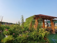 사랑의마을요양원