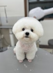 트리밍153