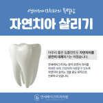 연세레이크치과의원 송파석촌