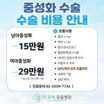 더포레동물병원