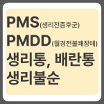 앤한의원 강남