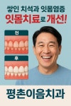 평촌이음치과의원