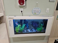 베스트피쉬수족관 부산점