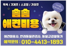 솜솜 애견미용