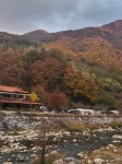숲과개울오토캠핑&펜션