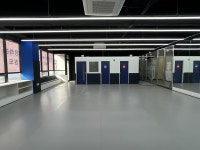 한체대석사더프라임태권도장