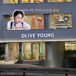 하파크리스틴 올리브영 제주시청점