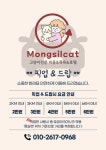 몽실캣
