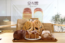 오식빵 양구점