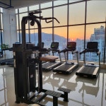 아너스티바디케어짐