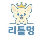 리틀멍 애견유치원 & 애견호텔