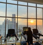 아너스티바디케어짐