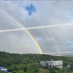 아너스티바디케어짐