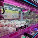 모모스테이션 부산남포동점