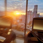 아너스티바디케어짐