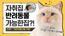 가온공인중개사사무소