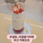 주식회사 오르브 | 오르
