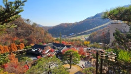 곤지암 엘피스 펜션
