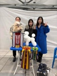 충남애견미용2관학원 | 충남애견미용학원