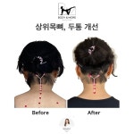 영동비모어필라테스 | 바디앤모어 필라테스