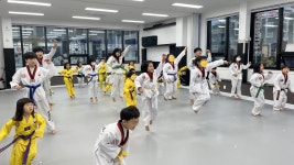 경희대형제태권도