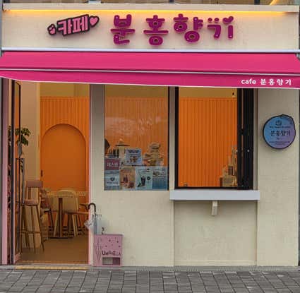분홍향기 사진