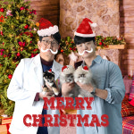 청주 강아지분양 고양이분양 미유펫 청주점