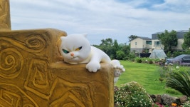 [달작 민박] 동화같은 감성민박