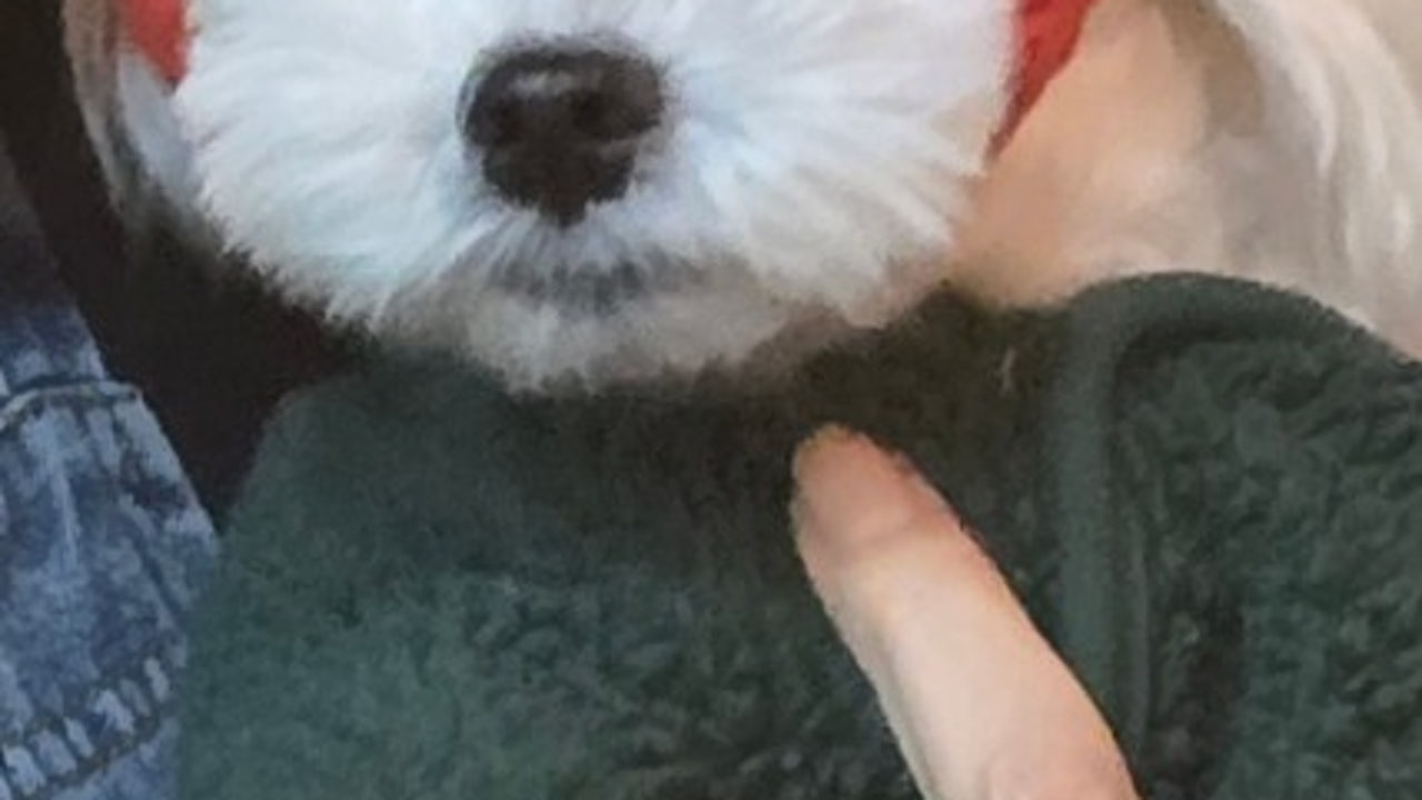 브리즈펍