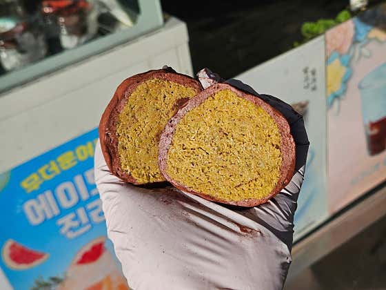 마쇼네 사진