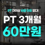 민트고래짐 성서점