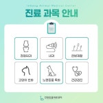 인방동물의료센터