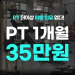 민트고래짐 성서점