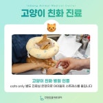 인방동물의료센터