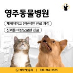 영주동물병원