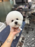 바나개