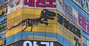 골드정형외과의원