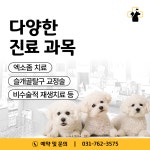 영주동물병원
