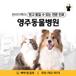 영주동물병원