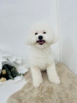 예쁘고멍