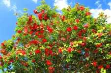 삼성여행사 대구