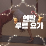 미엘요가 필라테스 안산본오점